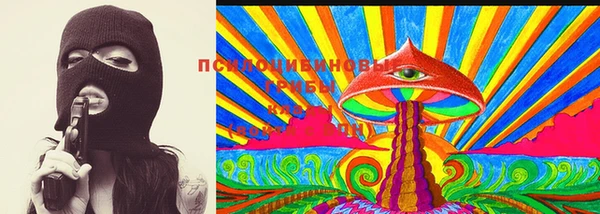 индика Верхнеуральск