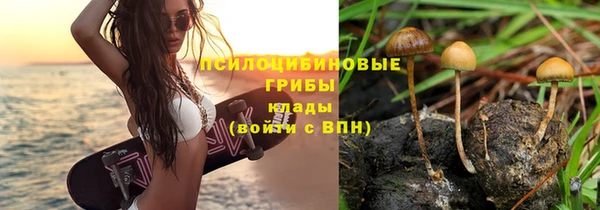 прущая мука Верхний Тагил