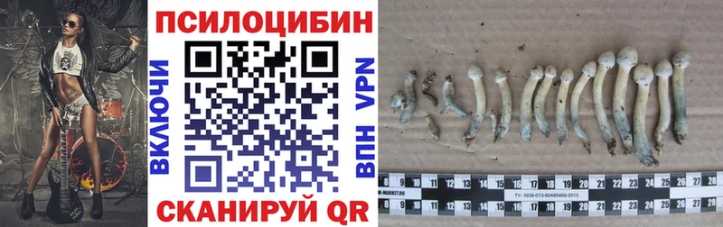 Купить где  Питкяранта  Псилоцибиновые грибы мухоморы 