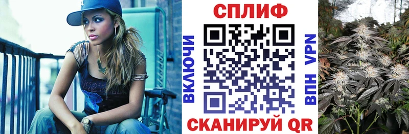 Купить где  Питкяранта  МАРИХУАНА ГИДРОПОН